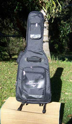 MandoHarp - Electric Guitar