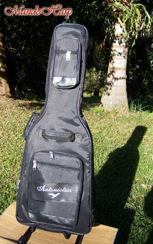 MandoHarp - Electric Guitar