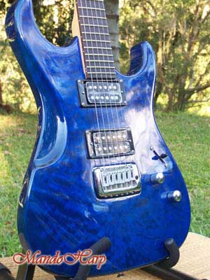 MandoHarp - Electric Guitar