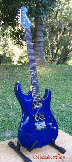 MandoHarp - Electric Guitar