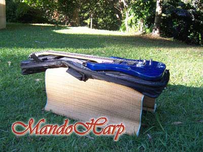 MandoHarp - Electric Guitar