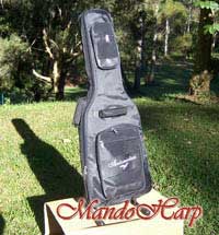 MandoHarp - Electric Guitar