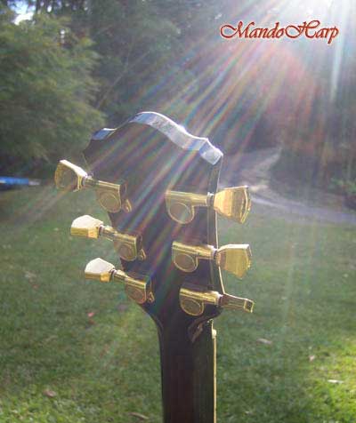 MandoHarp - 'Rotor' - Hand-Made Inlaid 6-Str Electric Guitar