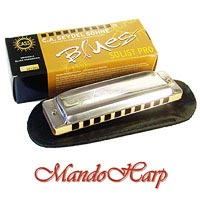 MandoHarp - Seydel Diatonic Harmonica - 11301 Blues Solist Pro