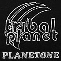 MandoHarp - Tribal Planet Planetone Harmonica - Super Steel
