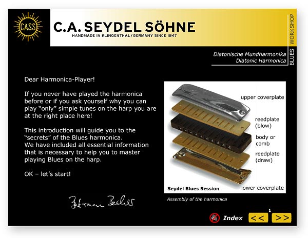 MandoHarp -Seydel 40020 Soundcheck V1. STEEL - Blues Beginner Pack