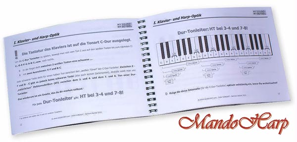 MandoHarp -Seydel 41002 Chaos and Structure - Practical Guide to Harmonics