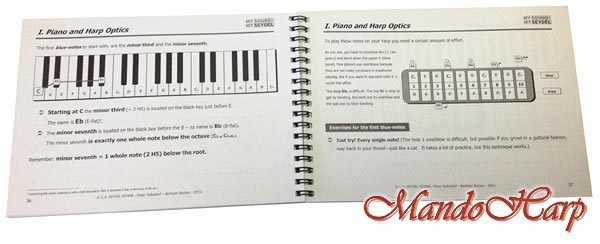 MandoHarp -Seydel 41002 Chaos and Structure - Practical Guide to Harmonics
