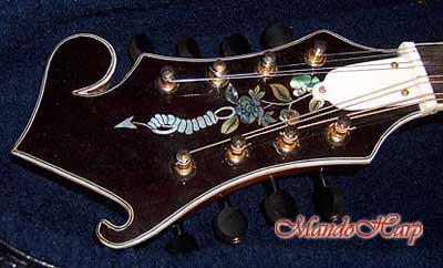 MandoHarp - 'Noose' Hand-Made F-5-Style Wide-Bodied Inlaid Mandolin (060020-MF)
