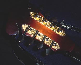 MandoHarp - 'Twisting Vines' Hand-Made F4-Style Mandolin with Abalone and Mother of Pearl Inlay