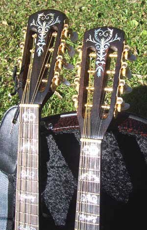 MandoHarp - Double Neck Mandolin/Mandola
