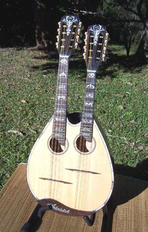 MandoHarp - Double Neck Mandolin/Mandola