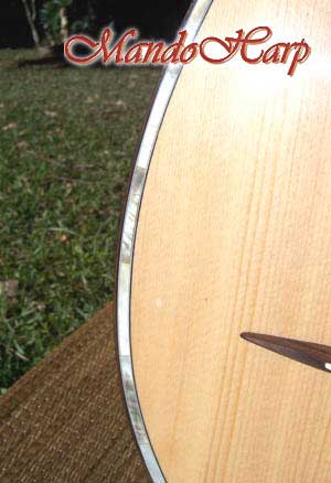 MandoHarp - Double Neck Mandolin/Mandola