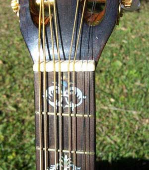 MandoHarp - Double Neck Mandolin/Mandola