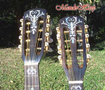MandoHarp - Double Neck Mandolin/Mandola