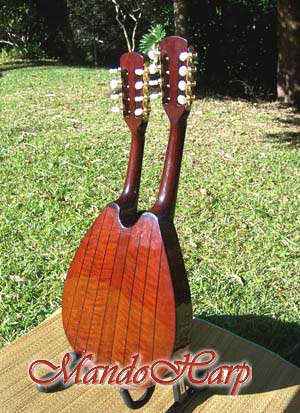 MandoHarp - Double Neck Mandolin/Mandola