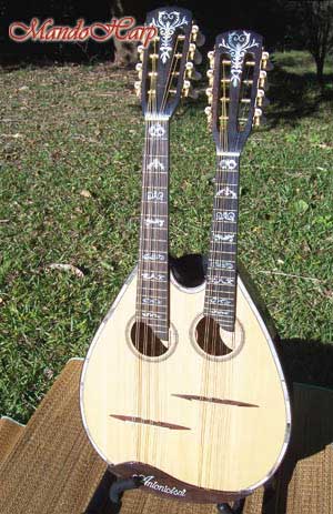 MandoHarp - Double Neck Mandolin/Mandola
