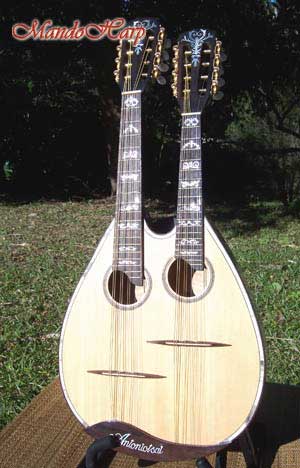 MandoHarp - Double Neck Mandolin/Mandola