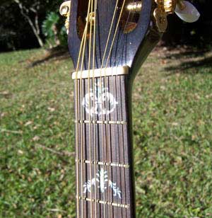 MandoHarp - Double Neck Mandolin/Mandola