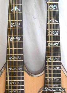MandoHarp - Double Neck Mandolin/Mandola