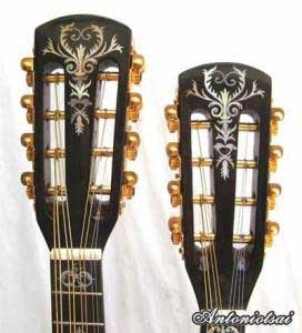 MandoHarp - Double Neck Mandolin/Mandola