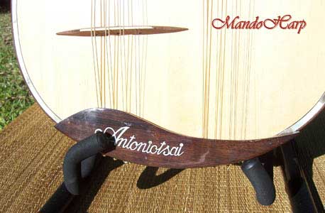 MandoHarp - Double Neck Mandolin/Mandola