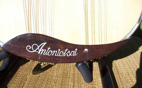 MandoHarp - Double Neck Mandolin/Mandola