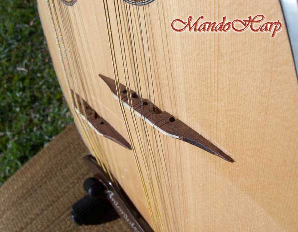 MandoHarp - Double Neck Mandolin/Mandola