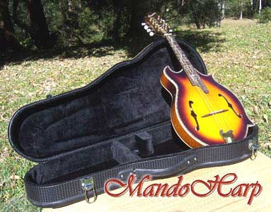 MandoHarp - 'Twisting Vines' Hand-Made F4-Style Inlaid Mandolin
