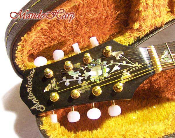 MandoHarp - 'Floral Blonde' Inlaid A-Style Mandolin
