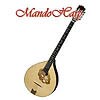 MandoHarp - Hora Irish Bouzouki/Octave Mandlin  Mandolin
