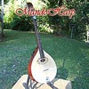 MandoHarp - Irish Bouzouki/Octave Mandlin  Mandolin