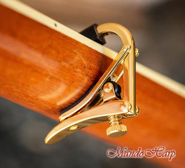 MandoHarp - Shubb Capo Royale - C3g for 12-String Guitar - Gold PVD Finish