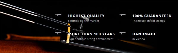 MandoHarp - Thomastik-Infeld 12 IF210 Rickenbacker 12-String Electric Guitar Strings - 0.010-0.044