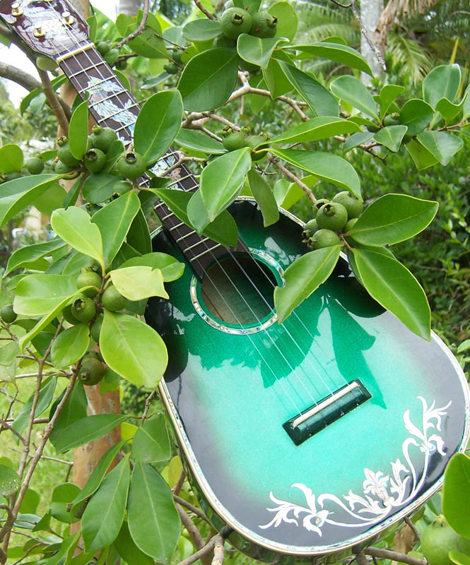 MandoHarp - 'Green Dragons' Concert Ukulele