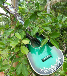MandoHarp - 'Green Dragons' Concert Ukulele
