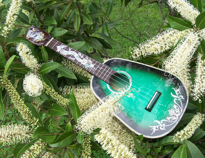 MandoHarp - 'Green Dragons' Concert Ukulele