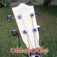 MandoHarp - Genuine Lanikai LFM-T Flame Maple Tenor Ukulele
